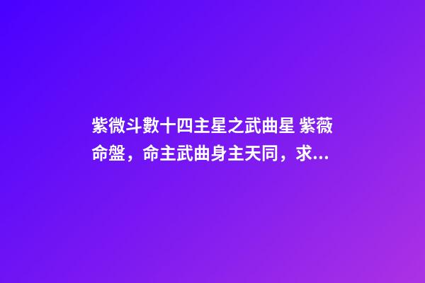紫微斗數十四主星之武曲星 紫薇命盤，命主武曲身主天同，求大師幫我讀取一下這個命盤-第1張-觀點-玄機派